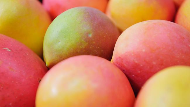 The Federal Government has stepped in to ensure Territory mango farmers who rely on airfreight will continue to have access to key international ­export markets. Picture: Michael Franchi