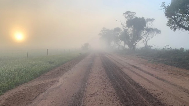 Farmer BJ Dall took this photo of fog at Kybunga in the Mid North, Sunday, August 16. Picture: SUPPLIED