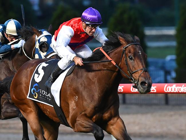 City winner Fullproof can make a winning return to racing at Geelong on Tuesday. Picture: Racing Photos via Getty Images.