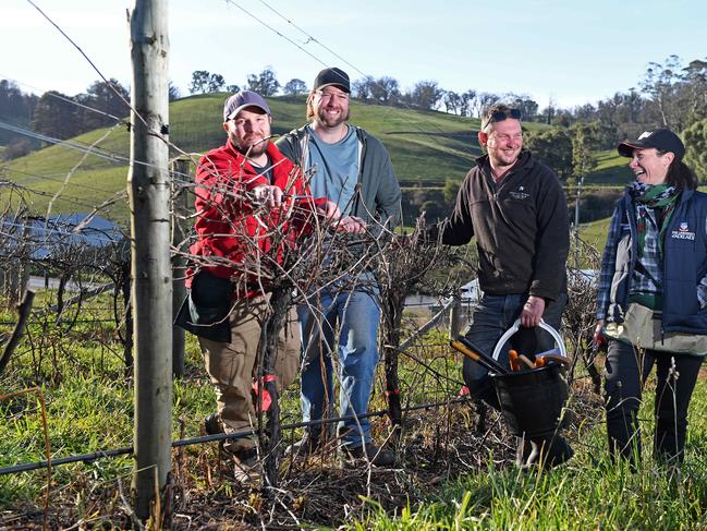 05/08/20 - University of Adelaide researchers Lucas De Simoni, Patrick O'Brien, Dr Roberta De Bei with grower Tim Bartsch of Lenswood Rise at Lobethal, where fire burnt 10 hectares of his vineyards. Picture: Tom Huntley