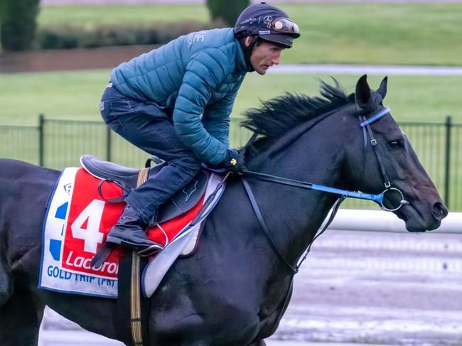 Damian Oliver onboard Gold Trip during trackwork at Moonee Valley Racecourse on October 13, 2021 in Moonee Ponds, Australia. (Jay Town/Racing Photos via Getty Images)