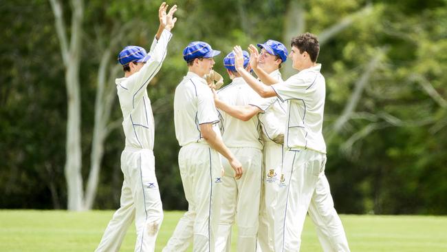 Toowoomba Grammar celebrate a wicket. (AAP Image/Renae Droop)