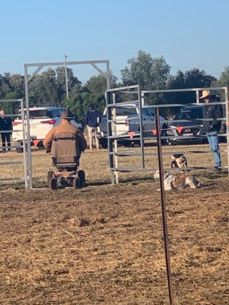 Working dog trials at Ag Grow Emerald day one.
