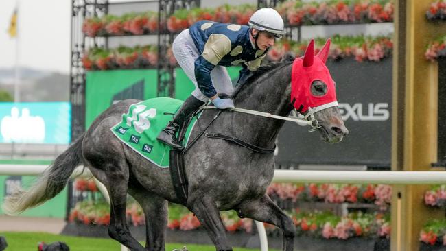 Valiant King. Picture: Racing Photos via Getty Images.