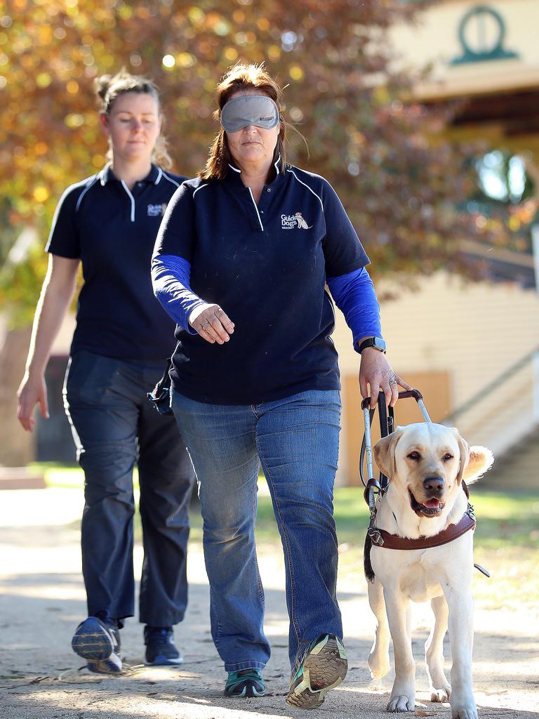 how to become a guide dog trainer