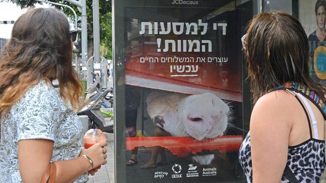An Animals Australia campaign advertisement in Tel Aviv, Israel.