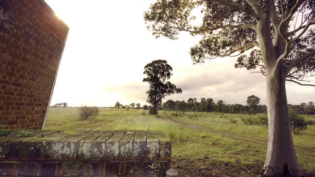 Maximising the tree canopy will be a priority to keep hot western Sydney temperatures down in summer.