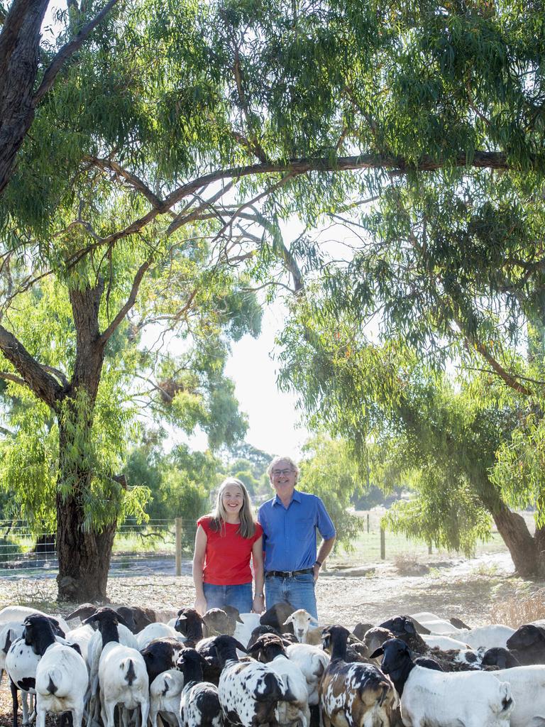 Colin and Meredith Walker with their sheep at Coolibah Persian Sheep Stud. Picture: Zoe Phillips