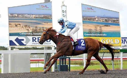 Mitchell Wood steers Gaze On to win the Roy Higgins & Wylie Dalziel Racing Handicap over 1600m at Corbould Park. Picture: Warren Lynam