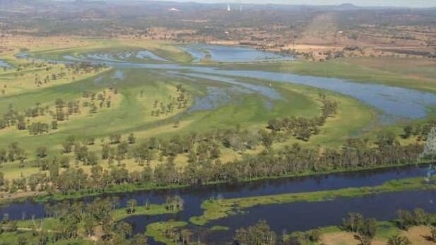 Questions are now being asked over the feasibility of the proposed Rookwood Weir in Rockhampton.