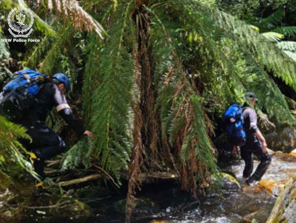 Searchers hiking through thick bush and waterways.