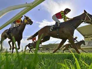 Ipswich racetrack's drainage issues need to be understood properly. Picture: Claudia Baxter