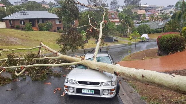 A car has been smashed by a fallen tree in Mount Omaney.