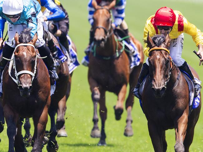 Christian Reith (red cap) sends Philizzy to the line in Sydney.