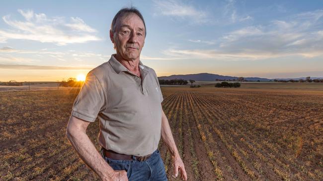 Peter McCallum at his farm in Booleroo Centre. Picture: Ben Clark