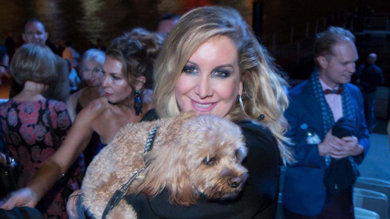 Lawyer’s $150k win over Insta-famous dog