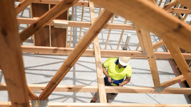 TRADESMAN/ TRADIE/BUILDING INDUSTRY:  Builder checking plan on digital tablet.