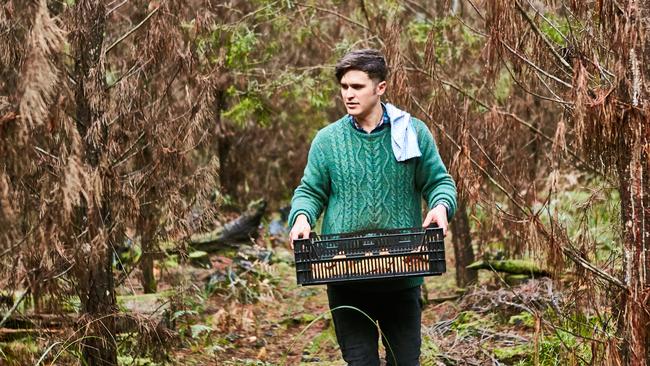 Bespoke Harvest at Forrest delights with homegrown produce | Geelong ...