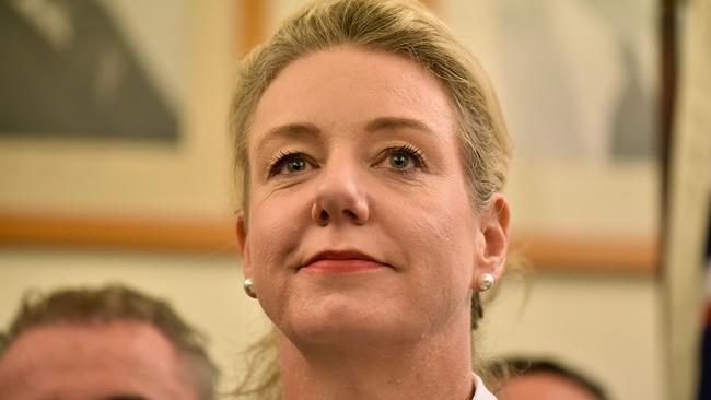 Deputy Nationals Leader Bridget McKenzie. Picture: Getty Images.