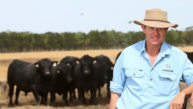 Nick and Sara Moyle from Pathfinder Angus. Annual Bull sales will be held on three properties in Vic, SA and QldPicture: ANDY ROGERS