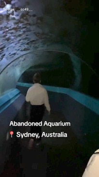 Derelict state of once famous Manly aquarium