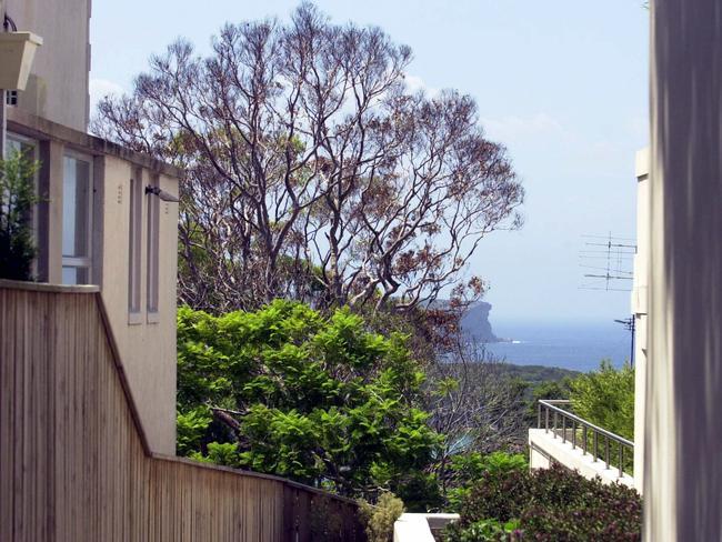 A tree poisoned in Mosman to improve water views in Spit Rd. Photographed in 2004. Picture: John Grainger