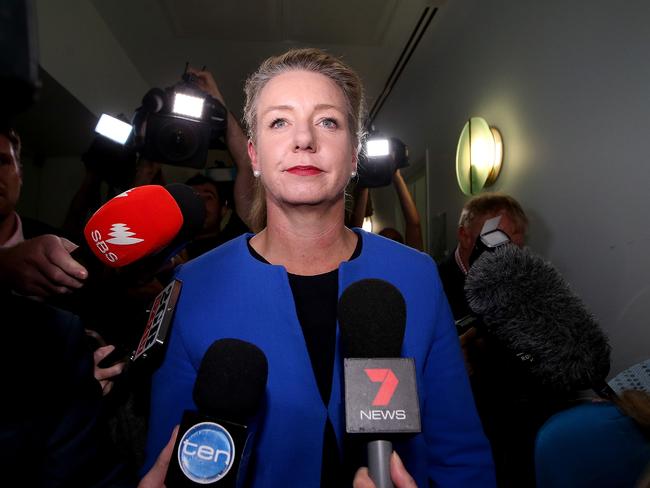 Deputy Nationals Leader Bridget McKenzie.