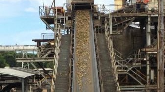 The last cane heads up the conveyor belt at Wilmar's Victoria Mill. Picture: Contributed