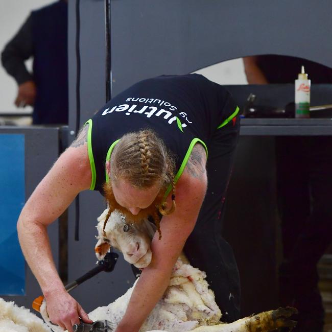 Jonathan Smith shows his shearing skills at Bendigo. Picture: Zoe Phillips