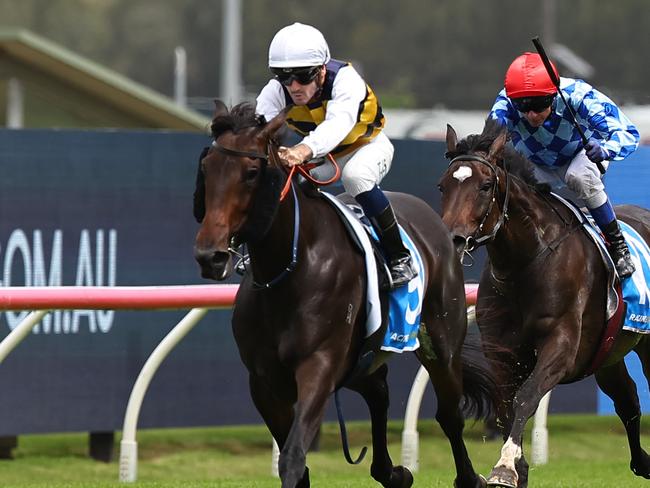 SYDNEY, AUSTRALIA - JANUARY 18: Tyler Schiller riding Perfumist win Race 6 Racing And Sports during Sydney Racing at Rosehill Gardens Racecourse on January 18, 2025 in Sydney, Australia. (Photo by Jeremy Ng/Getty Images)