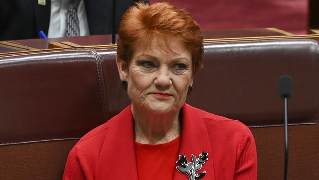 Senator Pauline Hanson. Picture: NCA NewsWire / Martin Ollman