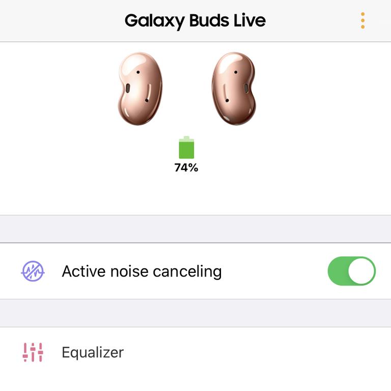 The Samsung Galaxy Buds Live iPhone app.