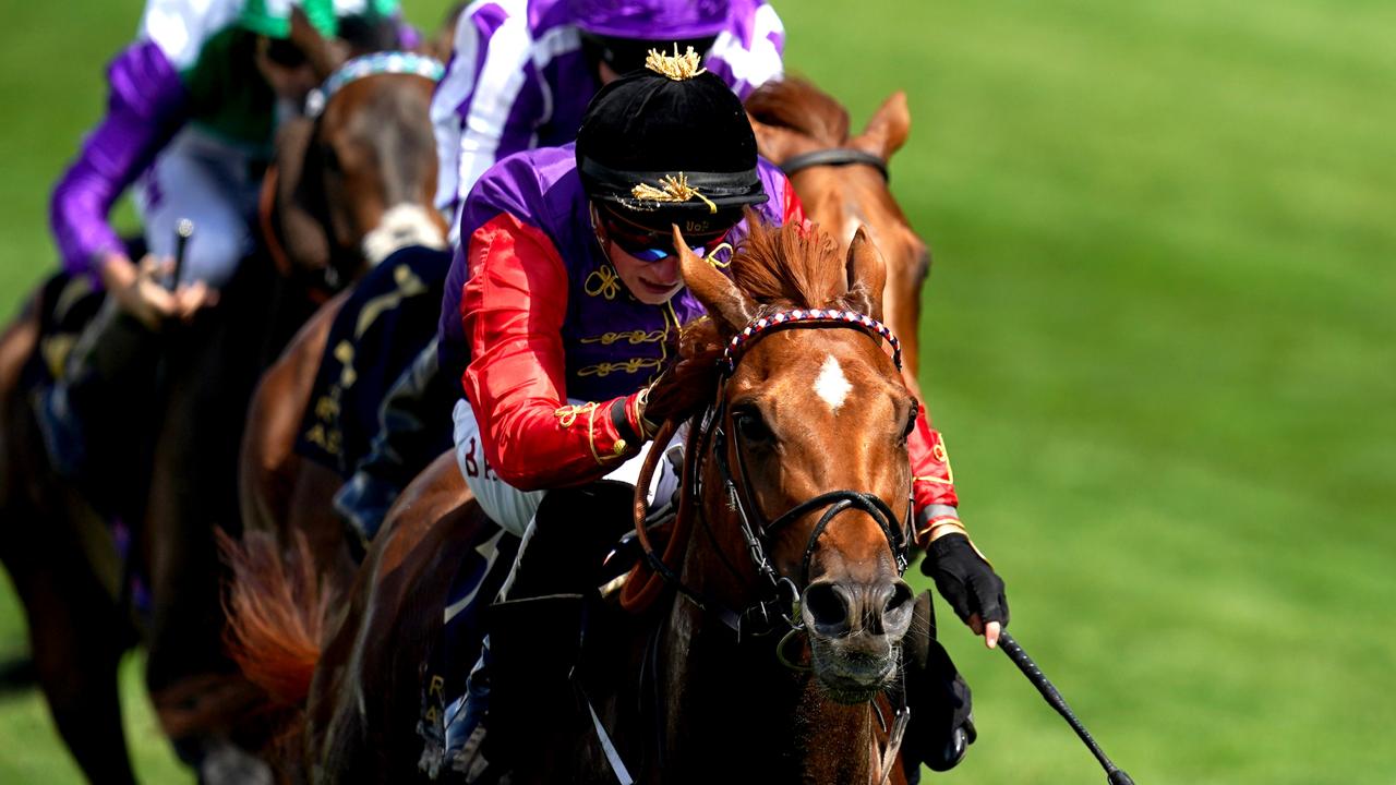 Desert Hero didn’t travel well from England and could miss the Group 1 Tancred Stakes. Picture: John Walton/PA Images via Getty Images