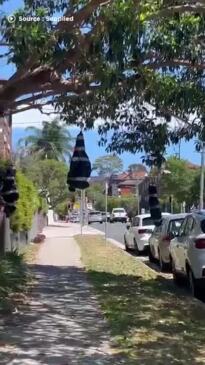 Spooky Halloween decorations are creeping out the neighbourhood