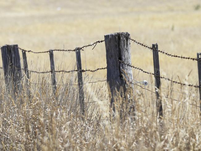 Speeding mum rams into farm fences with police in pursuit