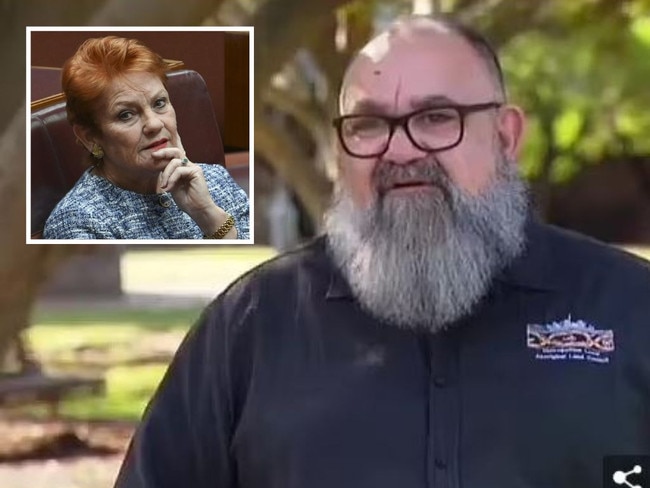 Brendan Kerin and Pauline Hanson. Photos: SBS/News Corp