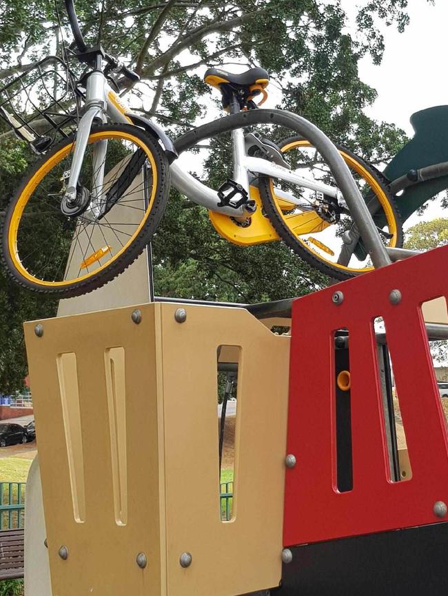 Some are competing by leaving the bikes in strange places. Picture: Lois Brown.