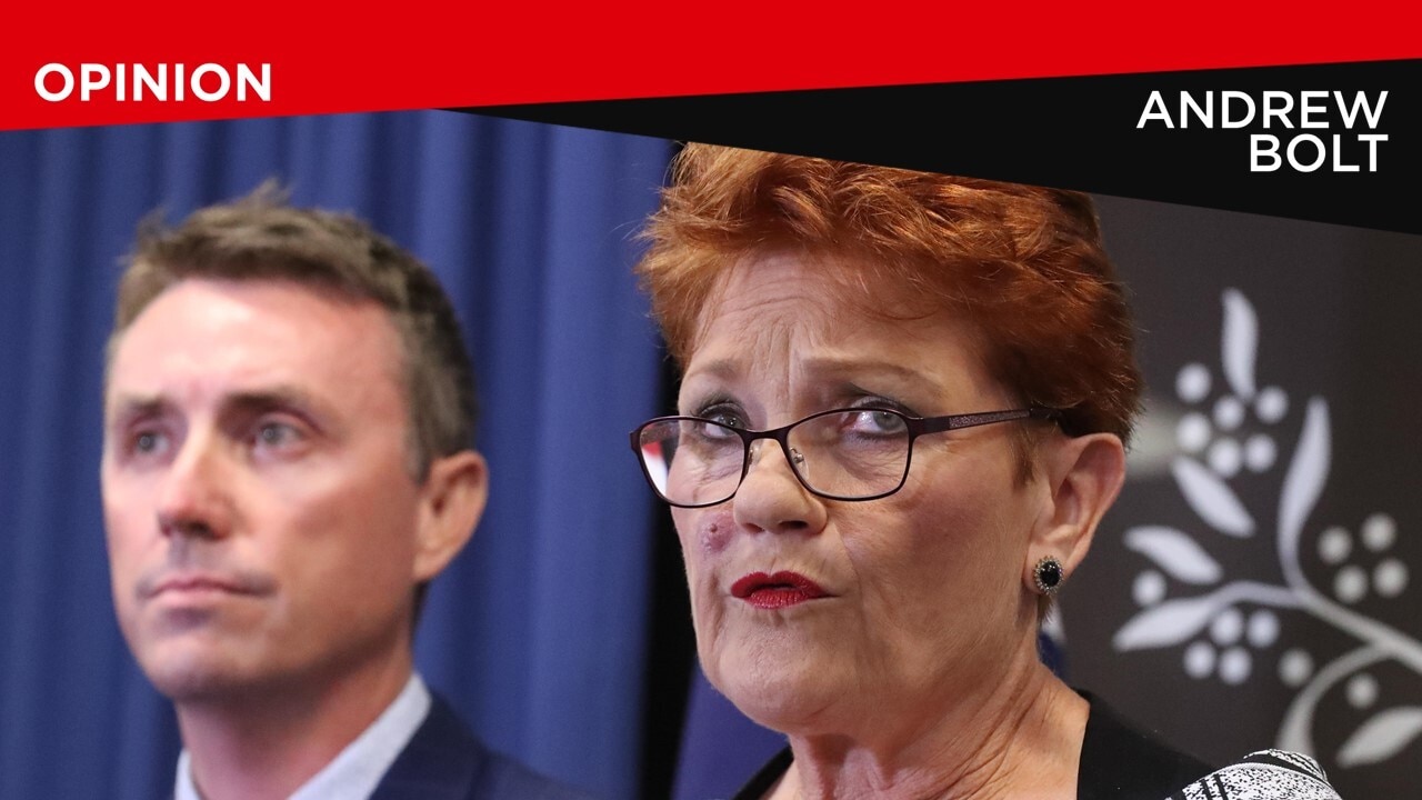 ‘I do not support the Port Arthur conspiracy theory’: Hanson