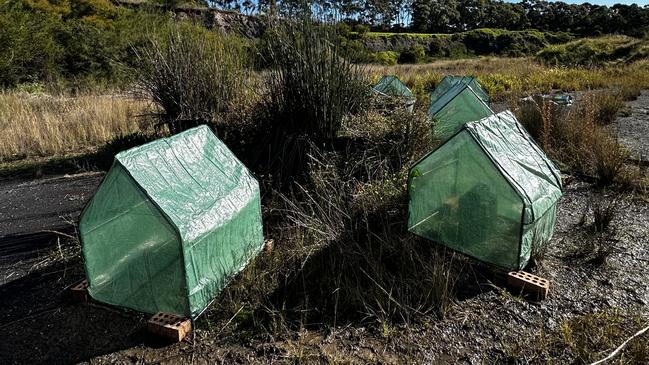 Frog hotspot shelters developed by a research team which included the University of Tasmania. Picture: Dr Anthony Waddle