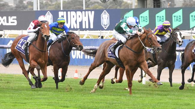 Just Like Gaby (left) ran fourth on debut behind First Settler (green and white silks).