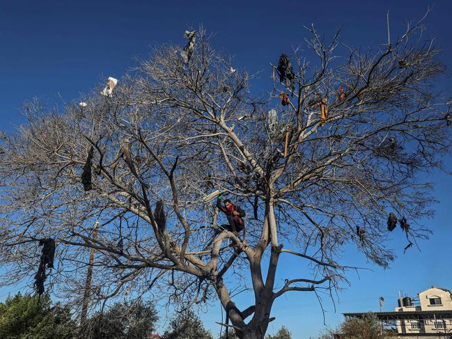 A Palestinian man climbs a tree to collect clothes after the Israeli bombardment in Rafah. Picture: Said Khatib/AFP