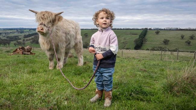 Remy Wilson and her Highland Cattle at Red Hill Homestead ahead of the Australian Highland Cattle Society National Show at the Geelong Showgrounds in June. Picture: Brad Fleet