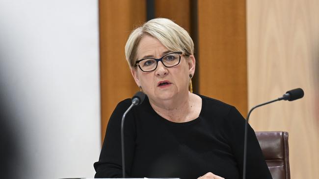 Senator Barbara Pocock said a ‘serious number’ of delivery driver deaths that have occurred on Australian roads. Picture: NCA NewsWire / Martin Ollman