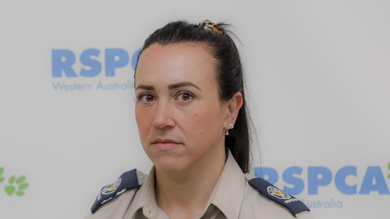 RSPCA WA Inspector Genna Haines has urged anyone with information to come forward. Picture: Supplied via NCA NewsWire