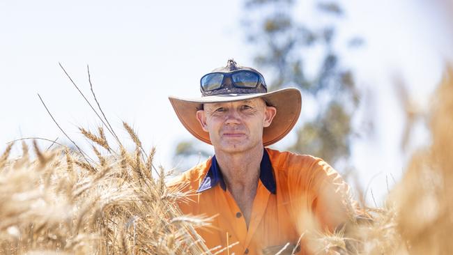 NEWS: Wheat Harvest Craig Stone NeilboroughPICTURED: Wheat Harvest Craig Stone NeilboroughPicture: Zoe Phillips