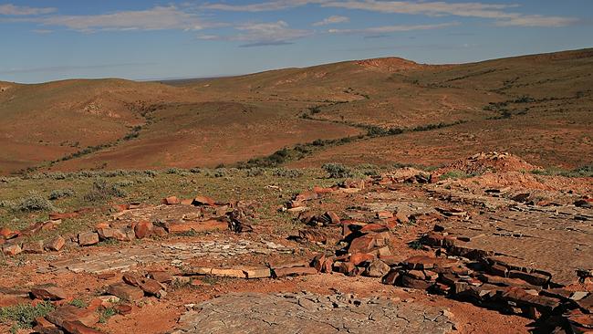 Wild Australia: the fossils of Ediacara Hills in the Flingers Ranges ...