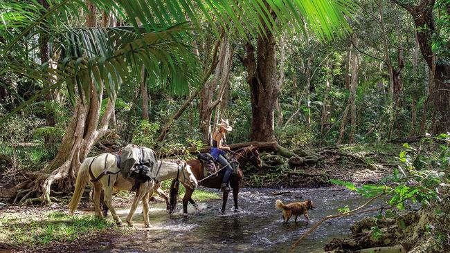 Alienor le Gouvello has documented her journey on Australia’s 5330km Bicentennial National Trail in her new book, Wild at Heart Australia. Picture: Cat Vinton