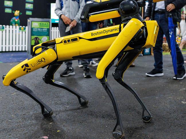 A robot dog at the Ekka. Picture: Josh Woning