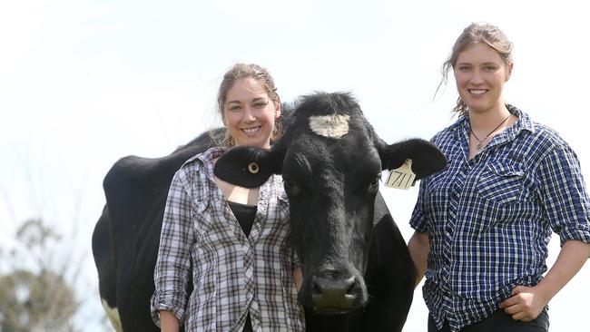 Sophia and Caroline Jones of Tarago Valley Organic dairy and their cow Daisy. Picture: Yuri Kouzmin