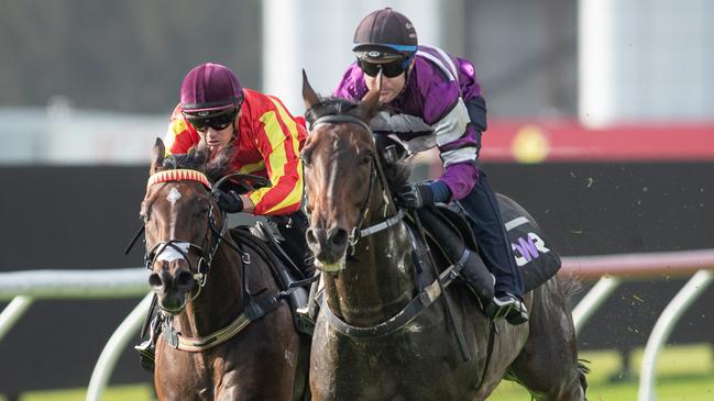 Lindermann (purple) wins his trial. Picture: Julian Andrews